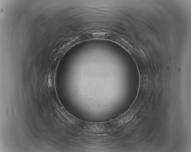 X0000086080962200703231400
