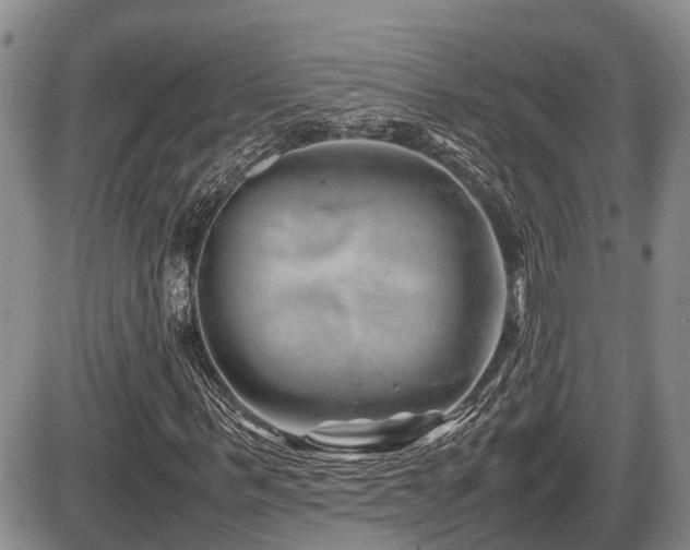 X0000086080963200703231400
