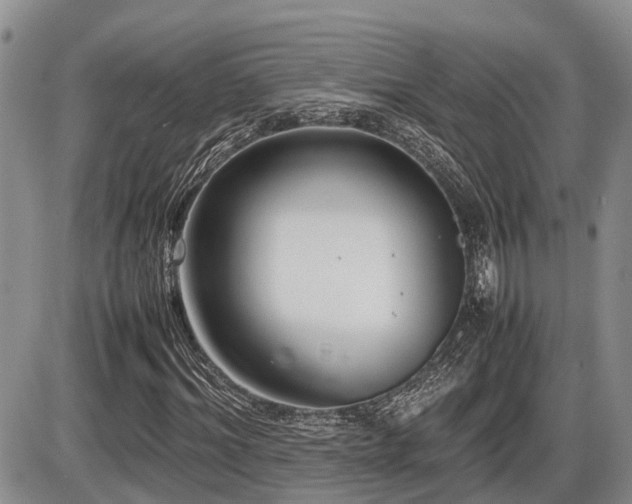 X0000086080964200703231400