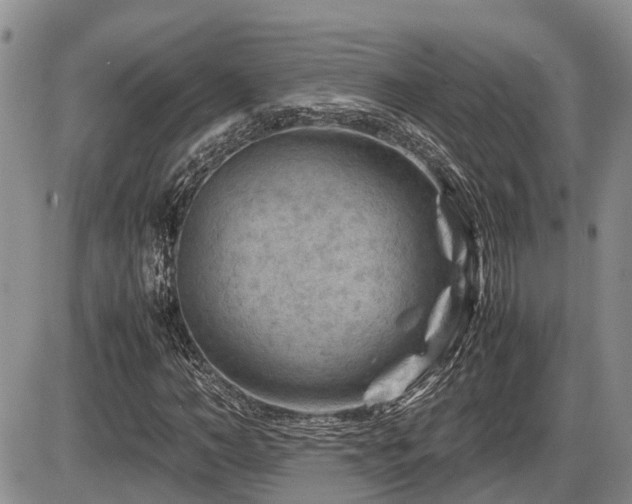 X0000086080966200703231400