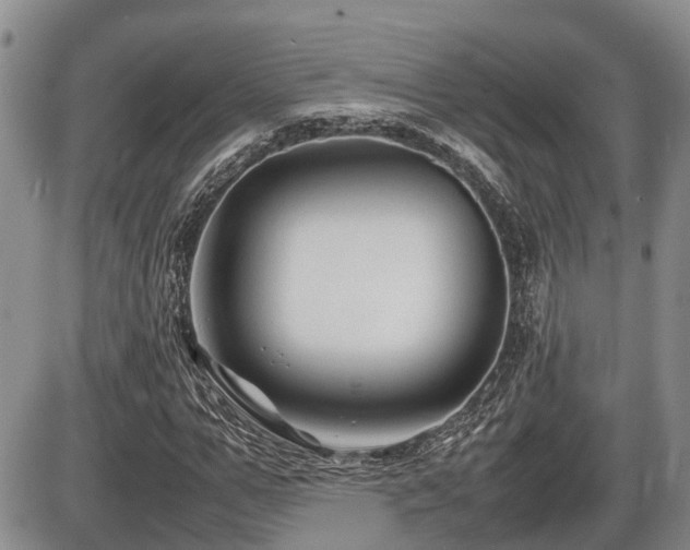 X0000086080967200703231400
