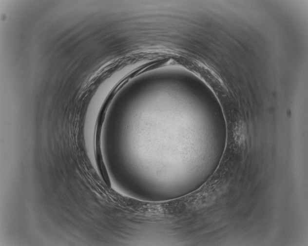 X0000086080968200703231400