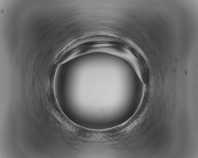 X0000086080969200703231400