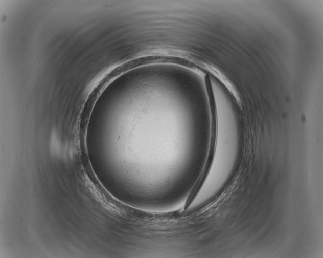 X0000086080972200703231400