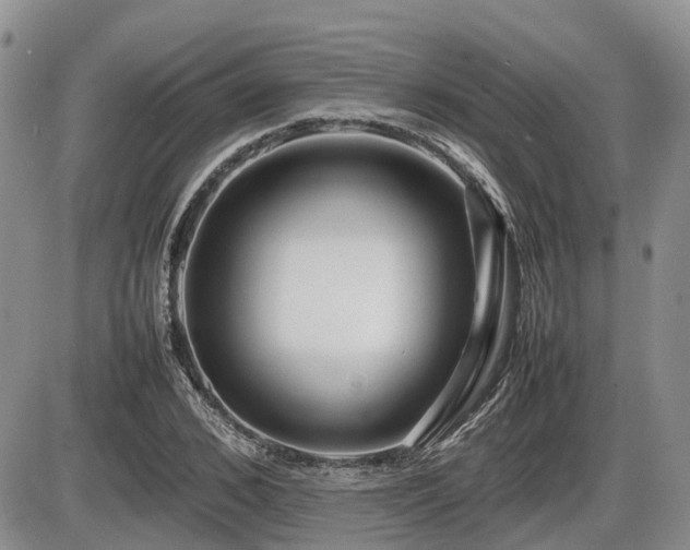X0000086080976200703231400