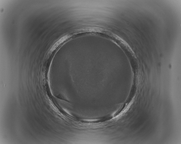 X0000086080977200703231400