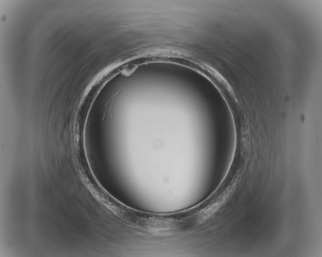 X0000086080981200703231400
