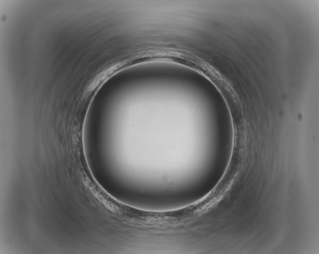 X0000086080985200703231400