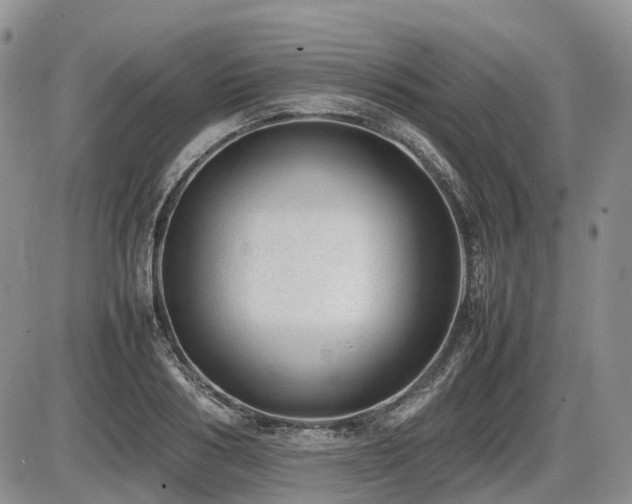 X0000086080986200703231400