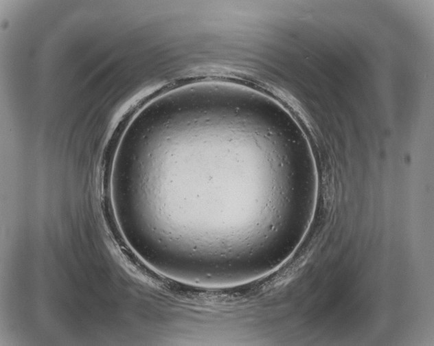 X0000086080987200703231400