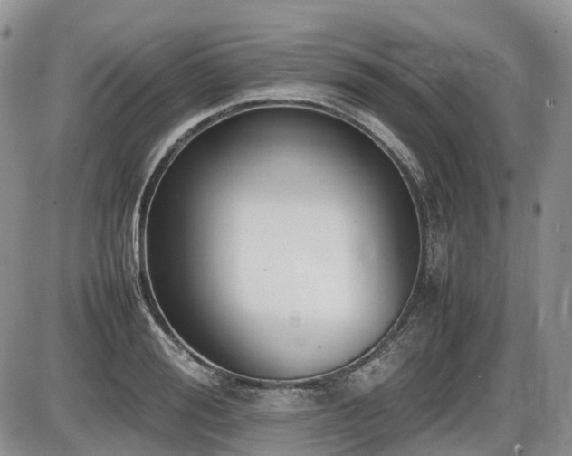 X0000086080988200703231400