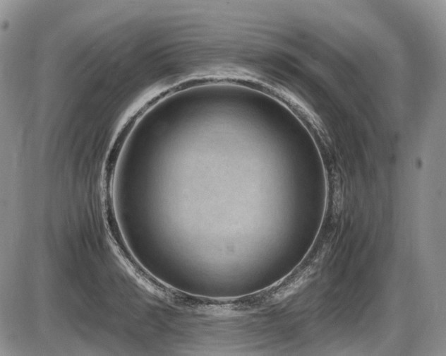 X0000086080990200703231400