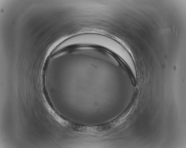 X0000086080995200703231400