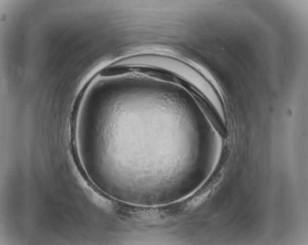 X0000086080999200703231359