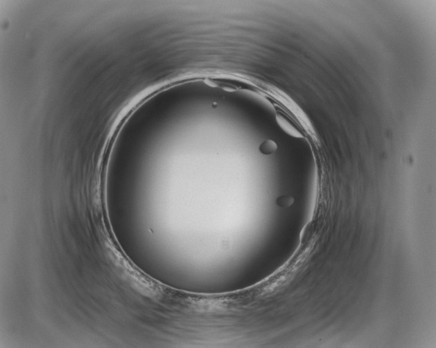 X0000086081004200703231359