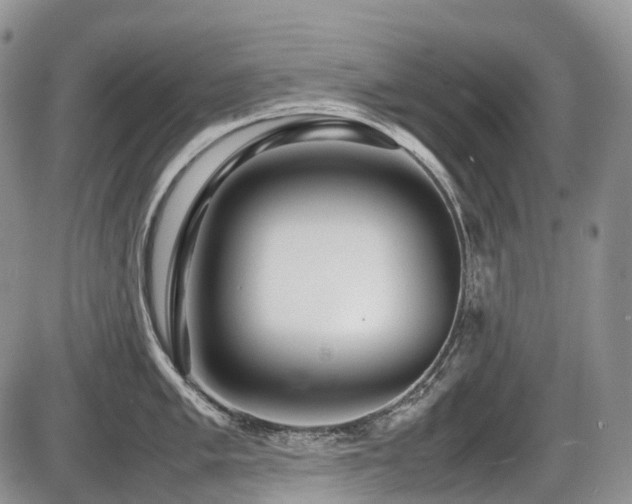 X0000086081005200703231359