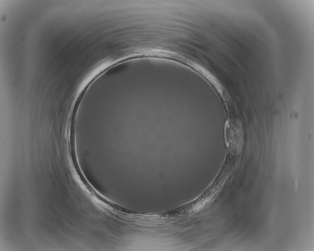 X0000086081007200703231359