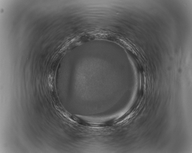 X0000086081010200703231358