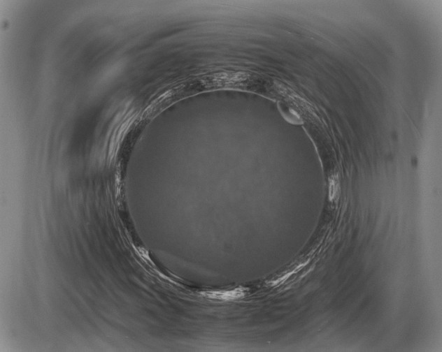 X0000086081011200703231358