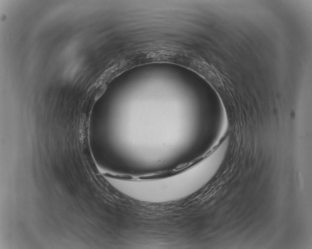 X0000086081012200703231359