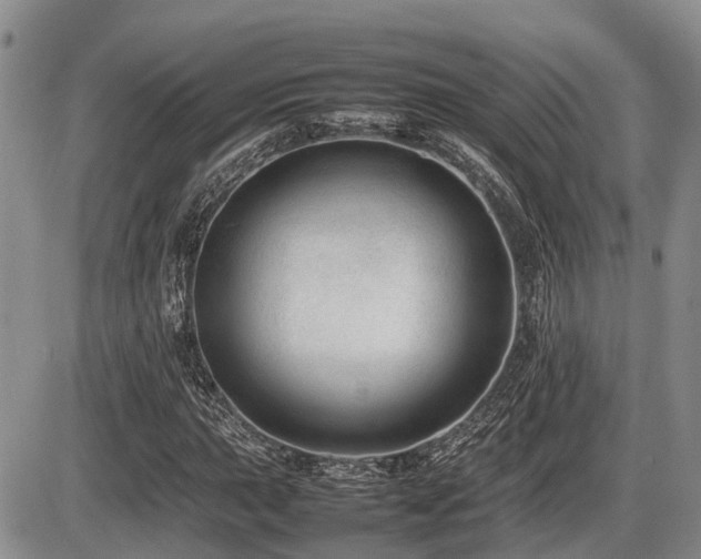X0000086081015200703231359