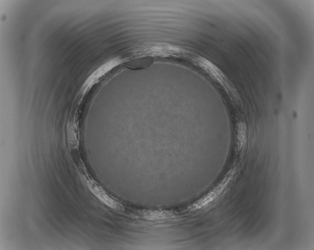 X0000086081018200703231359