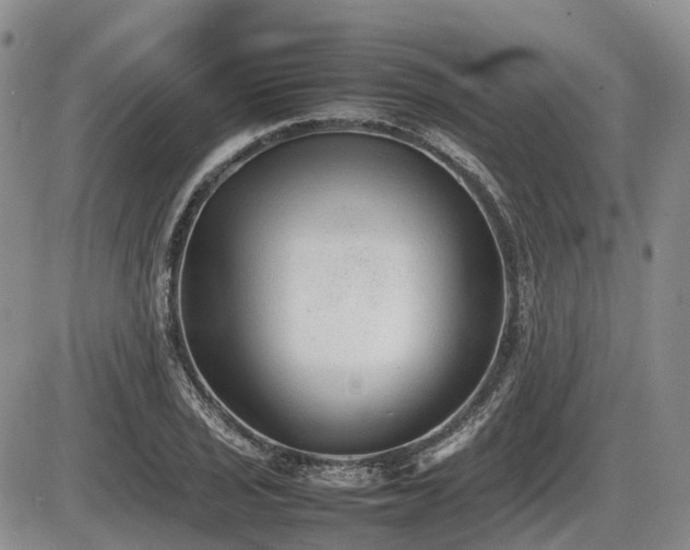 X0000086081029200703231359