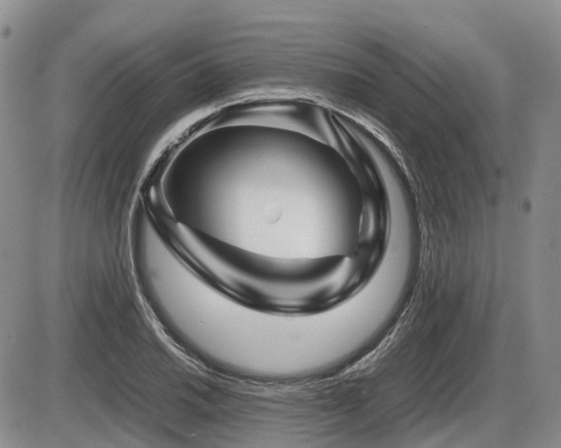 X0000086081030200703231359