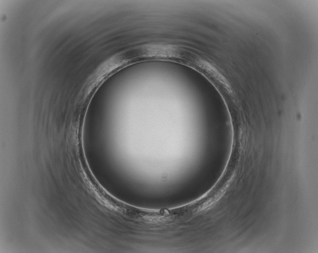 X0000086081033200703231359