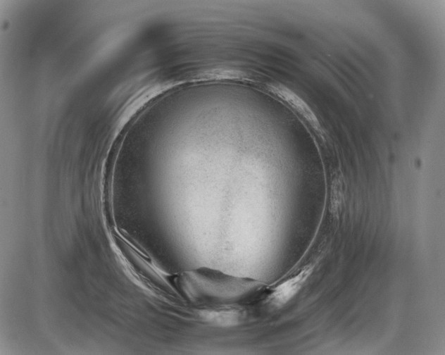 X0000086081039200703231359