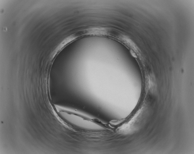 X0000086081041200703231359