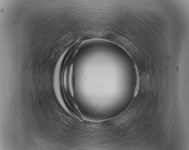 X0000086081058200703231358