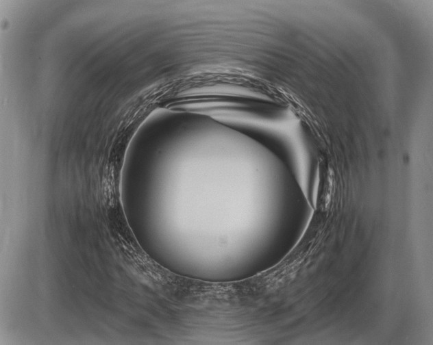 X0000086081062200703231358
