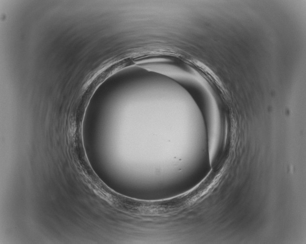 X0000086081065200703231358