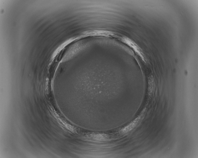 X0000086081066200703231358
