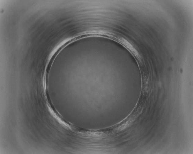 X0000086081084200703231358