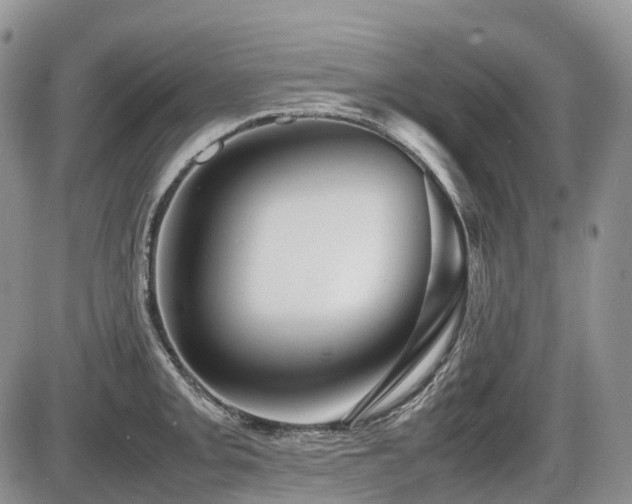 X0000086081093200703231358