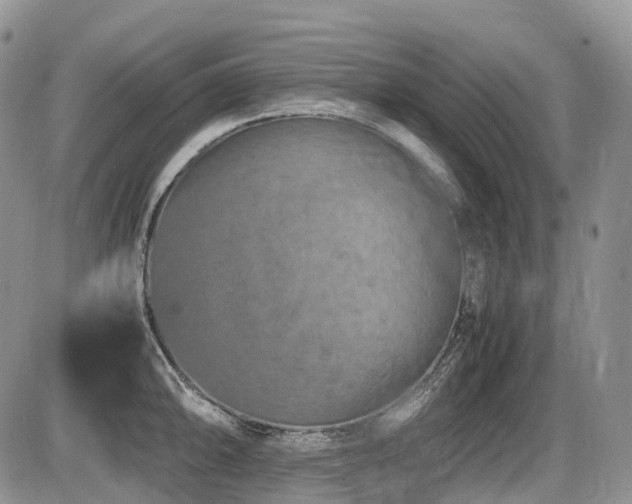 X0000086081094200703231358