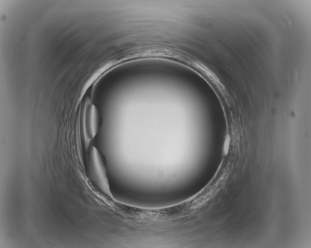 X0000086081097200703231358