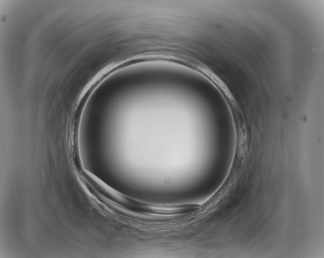 X0000086081101200703231358