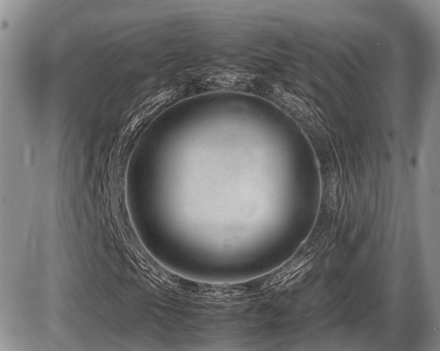 X0000086081105200703231357