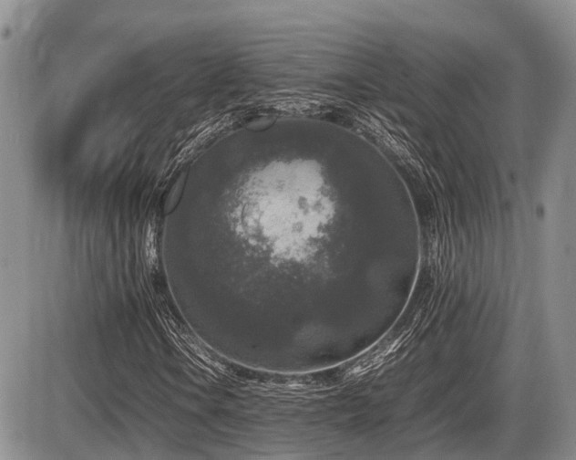 X0000086081106200703231357