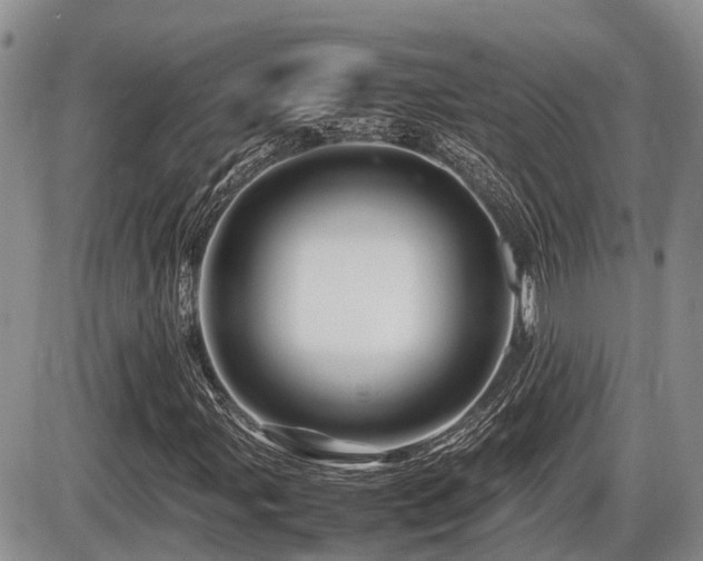 X0000086081107200703231357