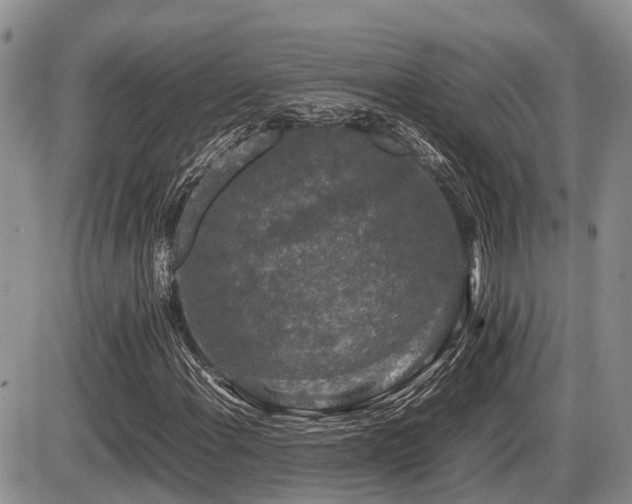 X0000086081108200703231357