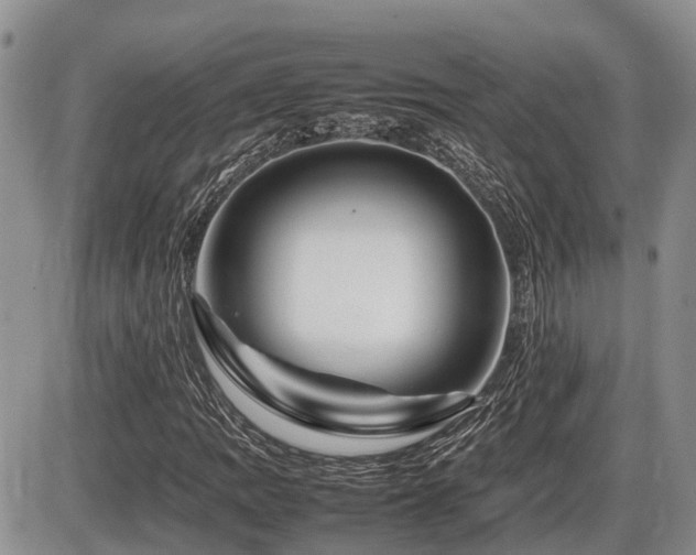 X0000086081109200703231357