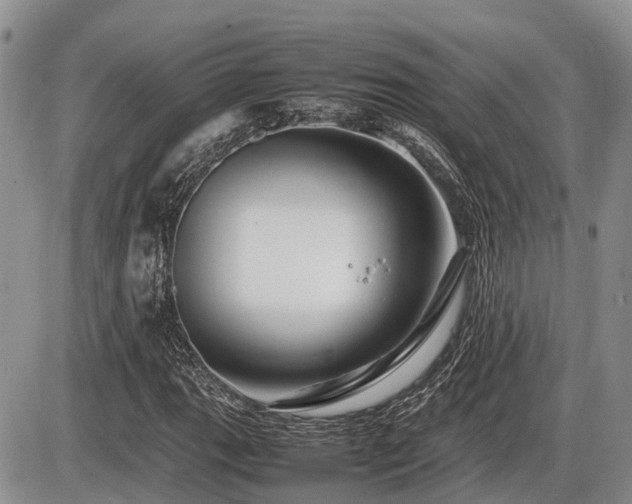X0000086081111200703231357