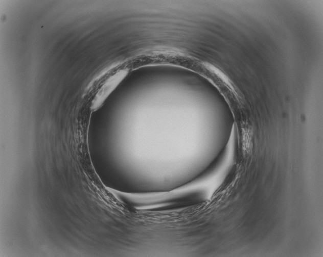 X0000086081112200703231357