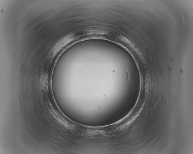 X0000086081113200703231357