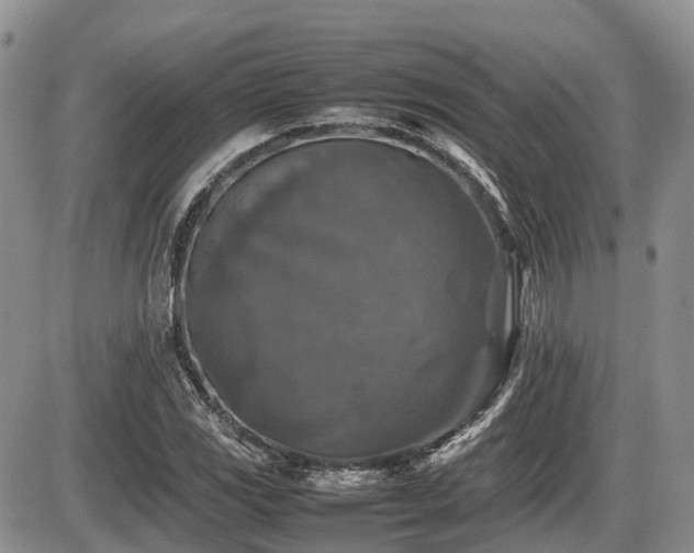 X0000086081117200703231357