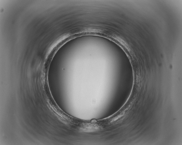 X0000086081119200703231357